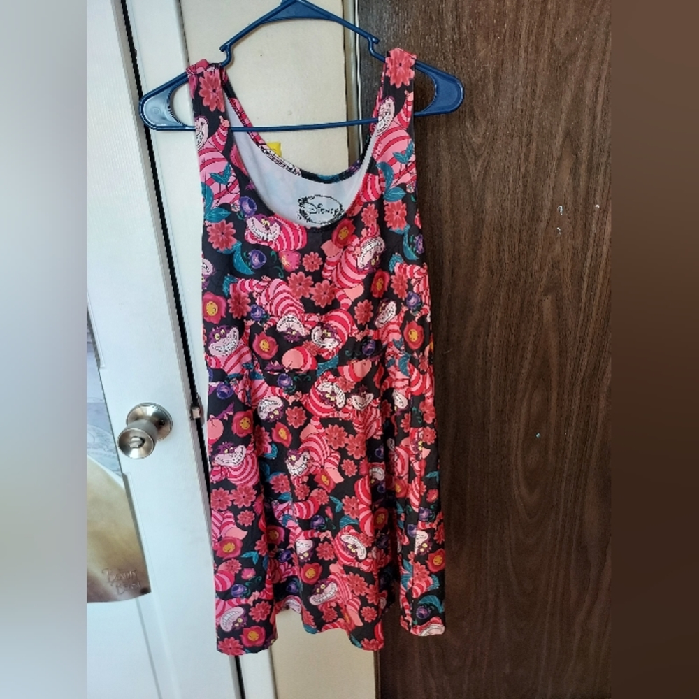 Alice in Wonderland dress!